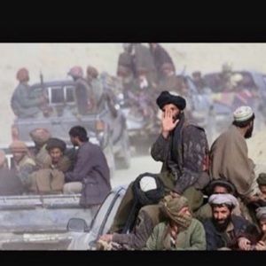 Meet your Posher, Donald